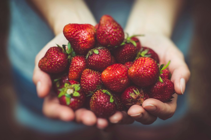 Frutos del bosque